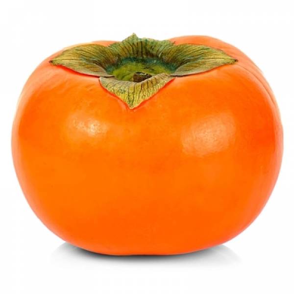 Persimmon